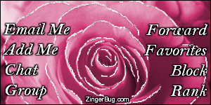 Click to get the codes for this image. This MySpace Contact Table (Contact Box) features a glitter graphic of a pink rose with silver glitter on the tips of each petal.
