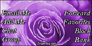 Click to get the codes for this image. This MySpace Contact Table (Contact Box) features a glitter graphic of a purple rose with silver glitter on the tips of each petal.