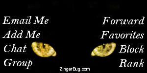 Click to get the codes for this image. This MySpace Contact Table (Contact Box) features a photograph of gold cat eyes on a black background.