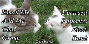 Click to get the codes for this image. This MySpace Contact Table (Contact Box) features a cute photo of a mamma cat and baby kitten touching noses.