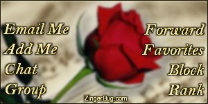 Click to get the codes for this image. This MySpace Contact Table (Contact Box) features a photograph of a red rose on top of a piece of sheet music.