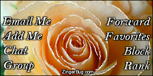 Click to get the codes for this image. This MySpace Contact Table (Contact Box) features a glitter graphic of a peach rose with silver glitter on the tips of each petal.
