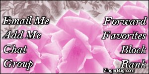 Click to get the codes for this image. This MySpace Contact Table (Contact Box) features pink flowers in front of a floral background.