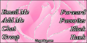Click to get the codes for this image. This MySpace Contact Table (Contact Box) features a glitter graphic of a pink rose with silver glitter on the tips of each petal.