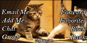 Click to get the codes for this image. This MySpace Contact Table (Contact Box) features a cute photograph of two playful kittens.
