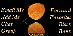 Click to get the codes for this image. This MySpace contacact table (contact box) features a beautiful photograph of a golden orange aspen leaf reflelected in an animated pool.