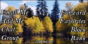 Click to get the codes for this image. This MySpace Contact Box (Contact Table) features a lovely animated photograph of beautiful aspen trees in full fall golden glory. The trees are reflected in an animated lake.