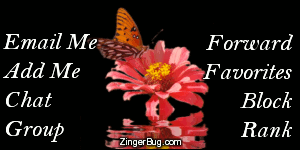 Click to get the codes for this image. This MySpace Contact Table (Contact Box) features a photograph of a butterfly sitting on a pink flower reflected in an animated pool.