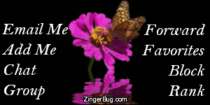 Click to get the codes for this image. This MySpace Contact Table (Contact Box) features an animated photograph of a butterfly sitting on a purple flower reflected in an animated pool.
