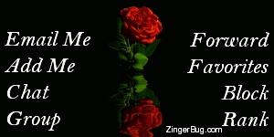 Click to get the codes for this image. This MySpace Contact Table (Contact Box) features an animated photograph of a red rose reflected in an animated pool.