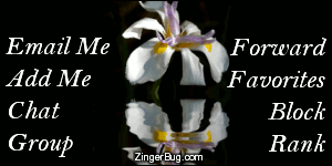 Click to get the codes for this image. This MySpace Contact Table (Contact Box) features a beautiful photograph of a white flower reflected in an animated pool.