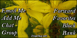 Click to get the codes for this image. This MySpace Contact Table (Contact Box) features a photograph of two yellow flowers reflected in an animated pool.