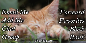 Click to get the codes for this image. This MySpace Contact Table (Contact Box) features an adorable photo of a cute orange tabby kitten sound asleep in th egrass with its little paws stretched out in front of it.
