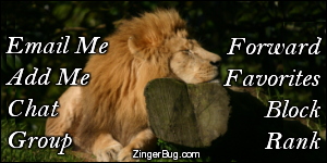 Click to get the codes for this image. This MySpace Contact Table (Contact Box) features a cute photograph of a lion sleeping with its head resting on a big log.