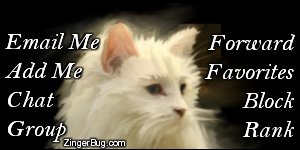 Click to get the codes for this image. This MySpace Contact Table (Contact Box) features a beautiful painting of a white kitten on a black background.