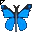 Click to get this Cursor. Blue Butterfly Cursor, Bugs  Butterflies Custom Cursor for Internet or Windows