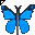 Click to get this Cursor. Blue Butterfly Cursor, Bugs Butterflies Custom Cursor for Internet or Windows