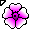 Click to get this Cursor. Pink and White Flower Cursor, Flowers Custom Cursor for Internet or Windows