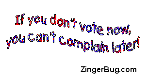 If you don't vote now, you can't complain later!