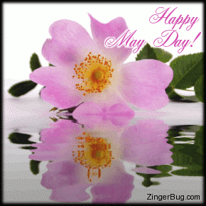 Another MayDay image: (happy_may_day_reflecting_pink_blossom) for MySpace from ZingerBug.com