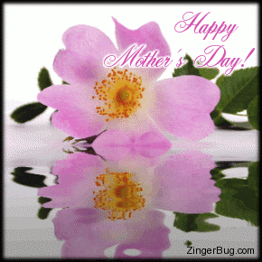 Another MothersDay image: (happy_mothers_day_reflecting_pink_blossom) for MySpace from ZingerBug.com