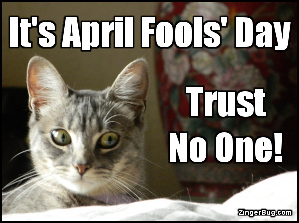 http://www.zingerbug.com/holidays/glitter_graphics/april_fools_day_trust_no_one_lolcat.jpg