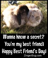 best friends daycare best friends day care augusta sc reanimators best friends daycare best friends day care augusta sc reanimators