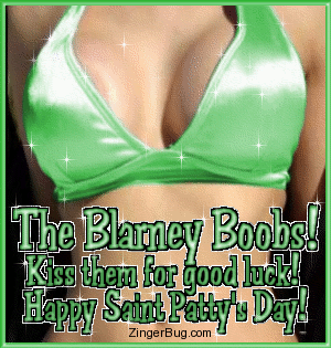 Click to get the codes for this image. This funny glitter graphic shows a close up of a woman with big boobs wearing a green bikini. The comment reads: The Blarney Boobs! Kiss them for good luck! Happy Saint Patty's Day!