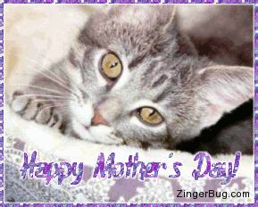 mothers day memes glitter mothers day graphics mothers_day_kitten mothers day memes glitter mothers day graphics