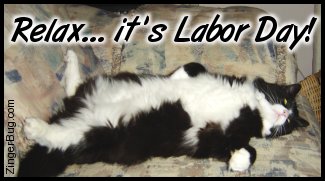 Click to get the codes for this image. This funny photo shows a black and white cat asleep on it's back with a big white furry belly. The comment reads: Relax... It's Labor Day!