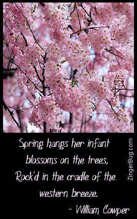 Click to get the codes for this image. This comment features a photograph of pink cherry blossoms with a quote by William Cowper reading: Spring hangs her infant blossoms on the trees, Rock'd in the cradle of the western breeze.