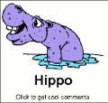 Click here to browse our entire collection of funny birthday comments and glitter graphics. This cute graphic pun features images of a hippo, a bird and 2 ewes. The comment reads: Hippo Birdie 2 Ewes!