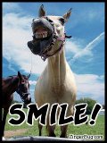 Click here to check out our collection of funny photos, jokes, sarcastic phrases and more humorous comments and glitter graphics.