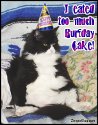Click here to browse our collection of Happy Birthday graphics with animal themes. This funny photo shows a rotund black and white cat sitting in a chair with his fat belly hanging out. He's wearing a birthday hat. the comment reads: I eated too much burfday cake!