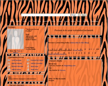 Orange Zebra Print