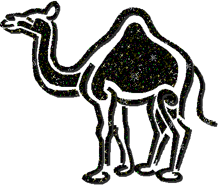 camel.gif