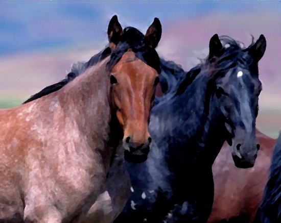 Click to get the codes for this image. 2 Horses Painting, Animals  Horses  Hooved Background, wallpaper or texture for any blog, web page, phone or desktop