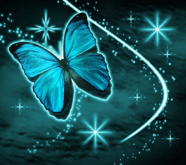 Click to get the codes for this image. Aqua Butterfly With Stars Background 1800x1600, Butterflies, Colors  Aqua Background, wallpaper or texture for Blogger, Wordpress, or any phone, desktop or blog.