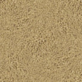 Click to get the codes for this image. Beige Carpet Seamless Photo, Colors  Brown, Carpet Background, wallpaper or texture for, Blogger, Wordpress, or any web page, blog, desktop or phone.
