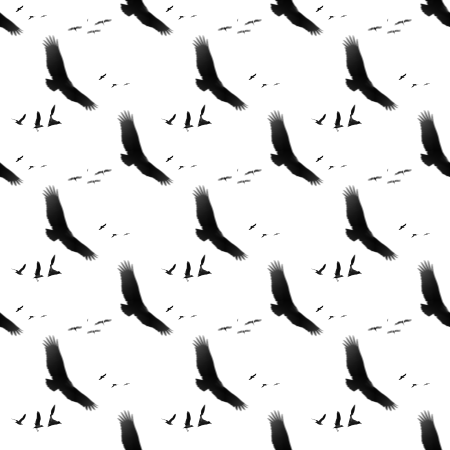 Click to get the codes for this image. Bird Silhouettes On White, Animals  Birds, Colors  Black and White Background, wallpaper or texture for Blogger, Wordpress, or any phone, desktop or blog.