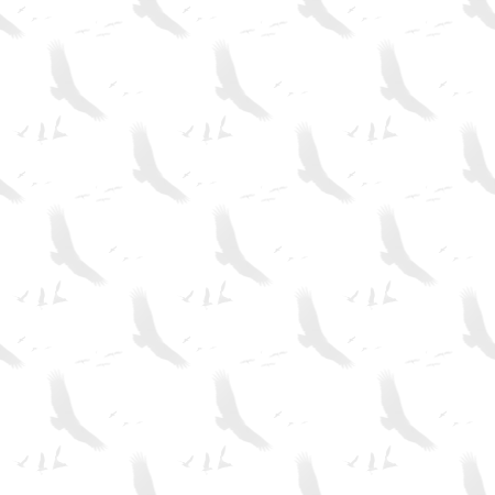 Click to get the codes for this image. Bird Silhouettes Watermark On White, Animals  Birds, Colors  Light and Watermark Background, wallpaper or texture for Blogger, Wordpress, or any phone, desktop or blog.