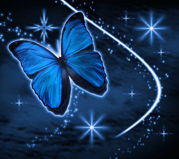 Click to get the codes for this image. Blue Butterfly With Stars Background 1800x1600, Butterflies, Colors  Blue Background, wallpaper or texture for Blogger, Wordpress, or any phone, desktop or blog.