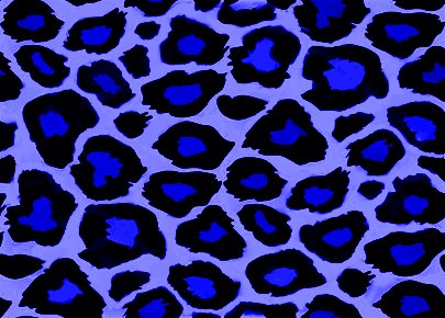 Click to get the codes for this image. Blue Leopard Print, Animal Print, Colors  Blue Background, wallpaper or texture for, Blogger, Wordpress, or any web page, blog, desktop or phone.