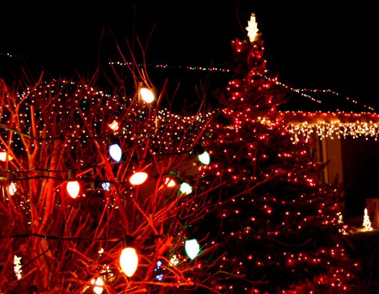 Christmas Tree Backgrounds and Codes for any Blog, web page, phone or