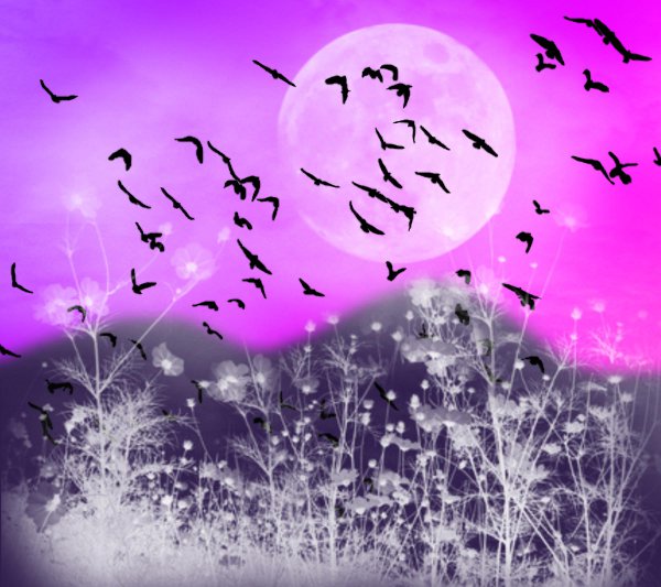 Click to get the codes for this image. Fantasy Landscape Witn Birds Background Pink Purple 1800x1600, Animals  Birds, Fantasy, Colors  Pink, Colors  Purple Background, wallpaper or texture for, Blogger, Wordpress, or any web page, blog, desktop or phone.