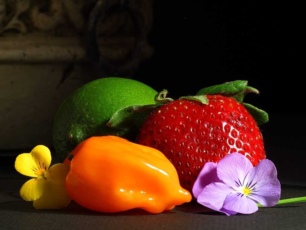 Click to get the codes for this image. Fruit And Flowers Still Life, Flowers  Floral Designs, Candy and Food Background, wallpaper or texture for, Blogger, Wordpress, or any web page, blog, desktop or phone.