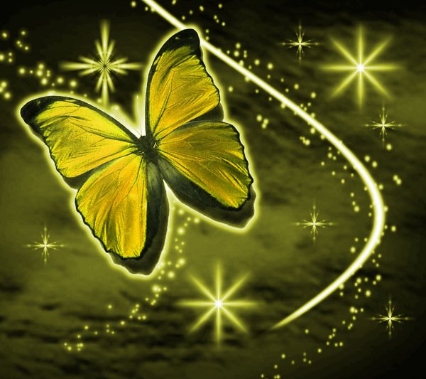 Click to get the codes for this image. Golden Butterfly With Stars Background 1800x1600, Butterflies, Colors  Yellow and Gold Background, wallpaper or texture for Blogger, Wordpress, or any phone, desktop or blog.