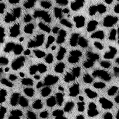 Click to get the codes for this image. Gray Animal Print Fur Background Seamless, Animal Print, Colors  Grey and Monochrome Background, wallpaper or texture for, Blogger, Wordpress, or any web page, blog, desktop or phone.