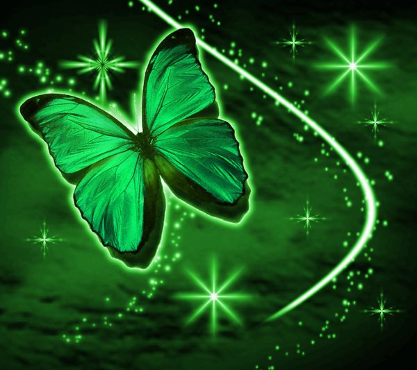 Click to get the codes for this image. Green Butterfly With Stars Background 1800x1600, Butterflies, Colors  Green Background, wallpaper or texture for Blogger, Wordpress, or any phone, desktop or blog.