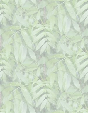 Click to get the codes for this image. Green Leaves Watermark, Plants and Leaves, Colors  Green Background, wallpaper or texture for Blogger, Wordpress, or any phone, desktop or blog.